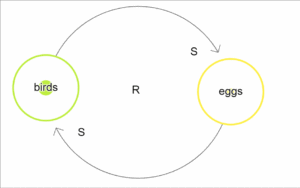 Running causal loop app